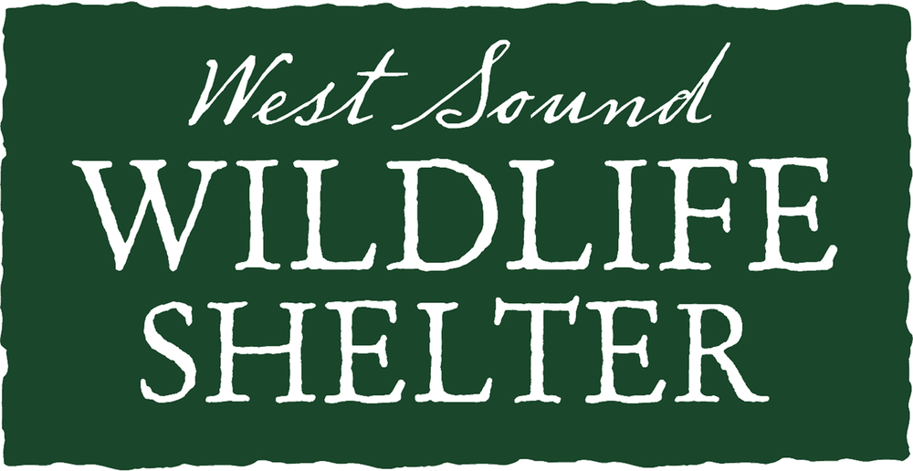 West Sound Wildlife Shelter logo